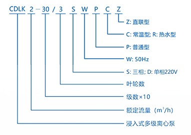 杭州南泵CDLK直聯(lián)型-3.jpg